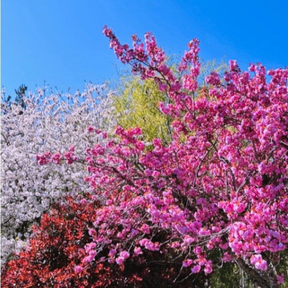 Meet your Posher, Patricia